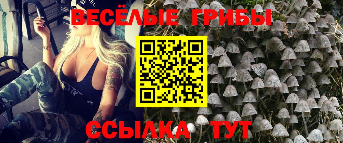 Галлюциногенные грибы Psilocybine cubensis  Вход с VPN  Ангарск 