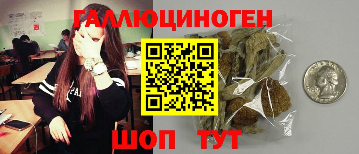 Галлюциногенные грибы прущие грибы Ангарск